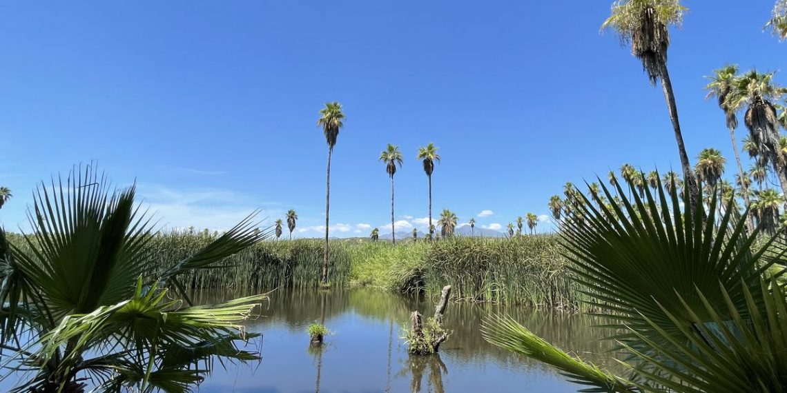 El pasado de los Pueblos Históricos sigue vivo en BCS – El Financiero