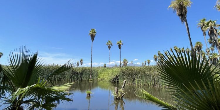 El pasado de los Pueblos Históricos sigue vivo en BCS – El Financiero