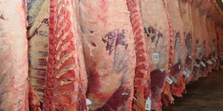 Ganancia para vecinos: las exportaciones de carne de Uruguay y Paraguay alcanzaron un nuevo récord mientras la Argentina traba las ventas al exterior