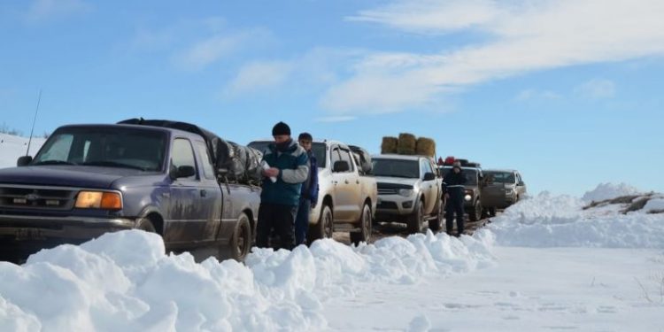 Habilitan registro On Line para Viajes Solidarios desde Bariloche | Bariloche Opina
