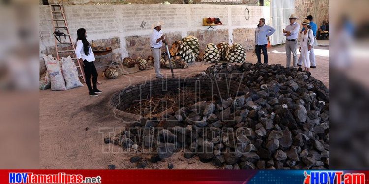 Hoy Tamaulipas - Confederacin Espaola de Agencias de Viajes conocen ruta del mezcal en Puebla
