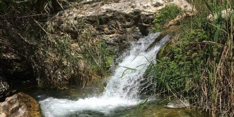 Río Alhárabe. Foto: JUAN DIEGO SIMÓN