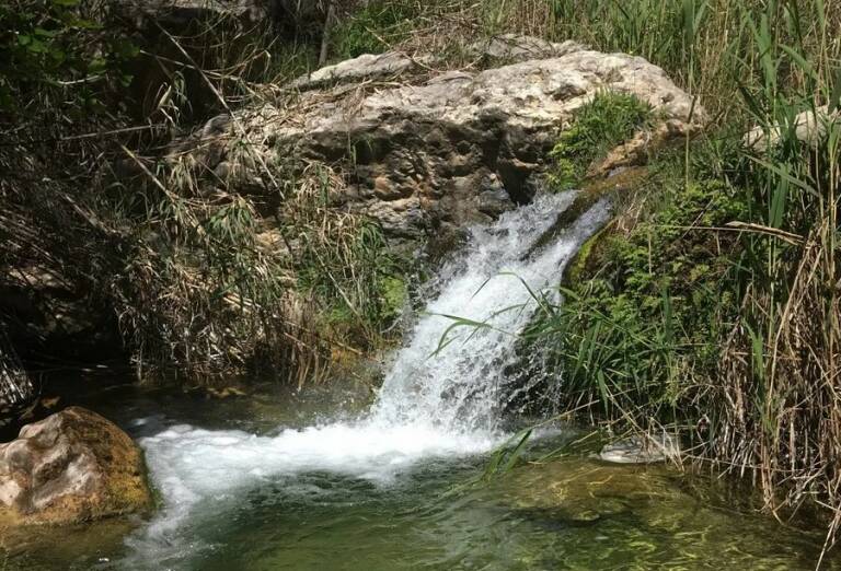 Río Alhárabe. Foto: JUAN DIEGO SIMÓN