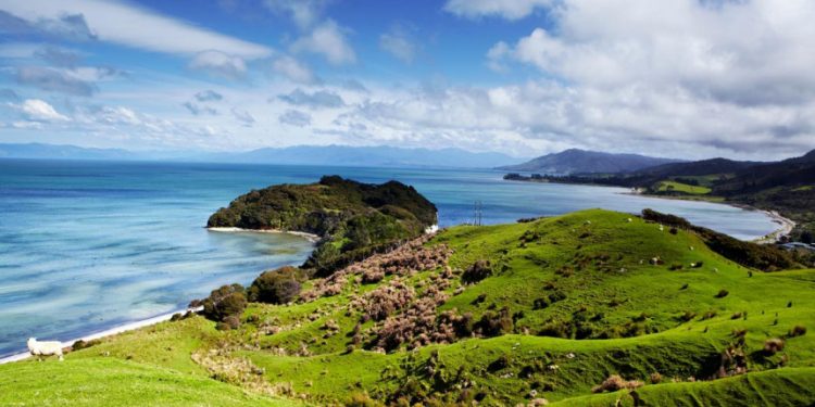 Nueva Zelanda comenzará a reabrir para viajes al extranjero a principios de 2022