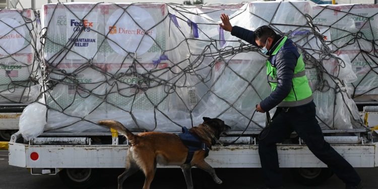 Primeras dosis de Moderna serán para Edomex, Jalisco y Nuevo León