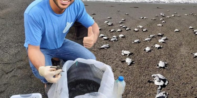 Promueven la “ecoruta de la tortuga” de Mariato