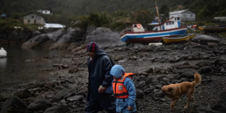 Satélites de Elon Musk alumbran con internet una remota aldea de pescadores en Chile