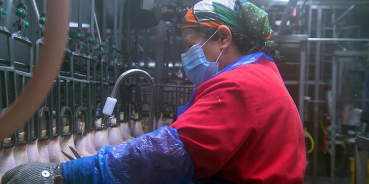 Tyson Foods exigirá a sus trabajadores que se vacunen contra el COVID-19