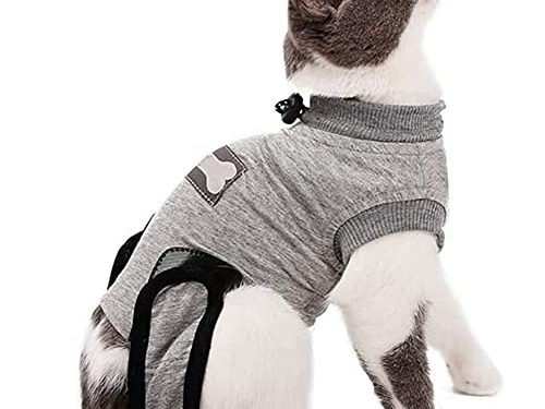 Yuhtech Traje de recuperación, Mascotas Trajes de recuperación quirúrgica Ropa Chaleco de recuperación pequeños (XS-Length-30-35cm)
