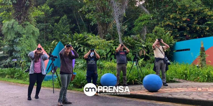 Costa Rica retoma promoción del turismo para observar aves