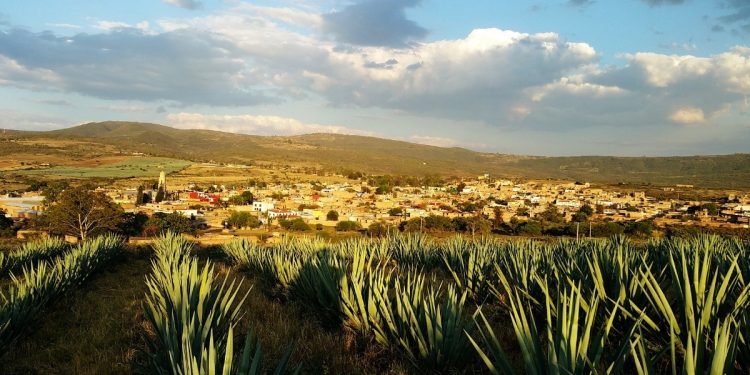 Cuánto cuesta viajar en el Tren Tequila Express de Jalisco