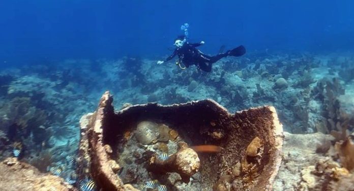 scorpion reef