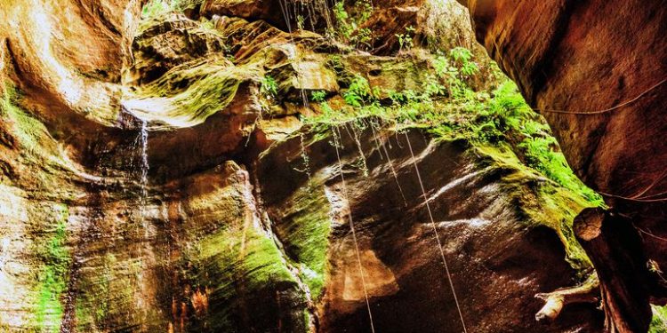 El cenote de Tavaí, un atractivo turístico para los audaces - Viajes