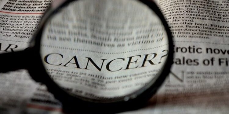 Encuentran células inmunitarias que vigilan el lugar de propagación del cáncer