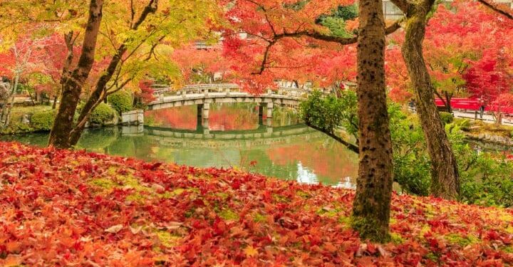 Estos son los países donde se ve mas hermoso en otoño