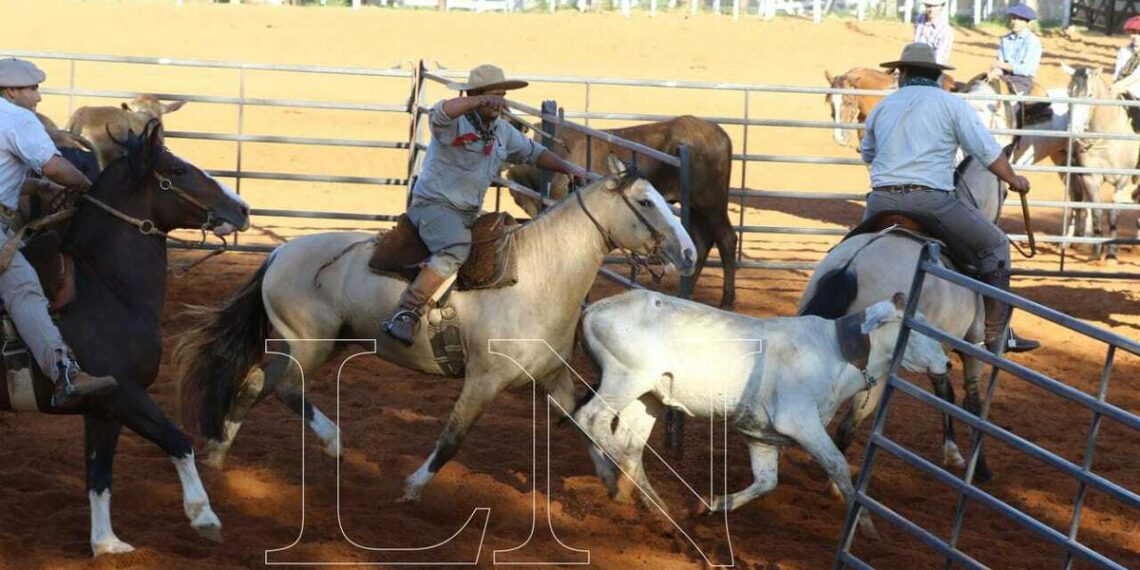 La Nación / Caballos criollos y jinetes demostraron aptitudes y destrezas en la Expo Ganadera