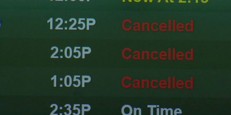 La variante Delta afecta los viajes aéreos y las vacaciones – Telemundo Miami (51)