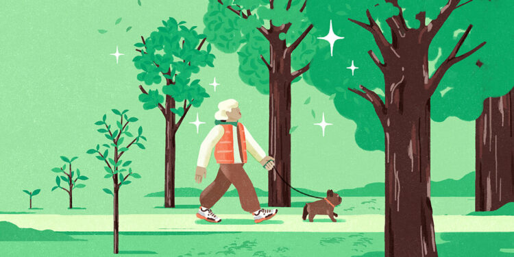Lecciones para la vida - The New York Times