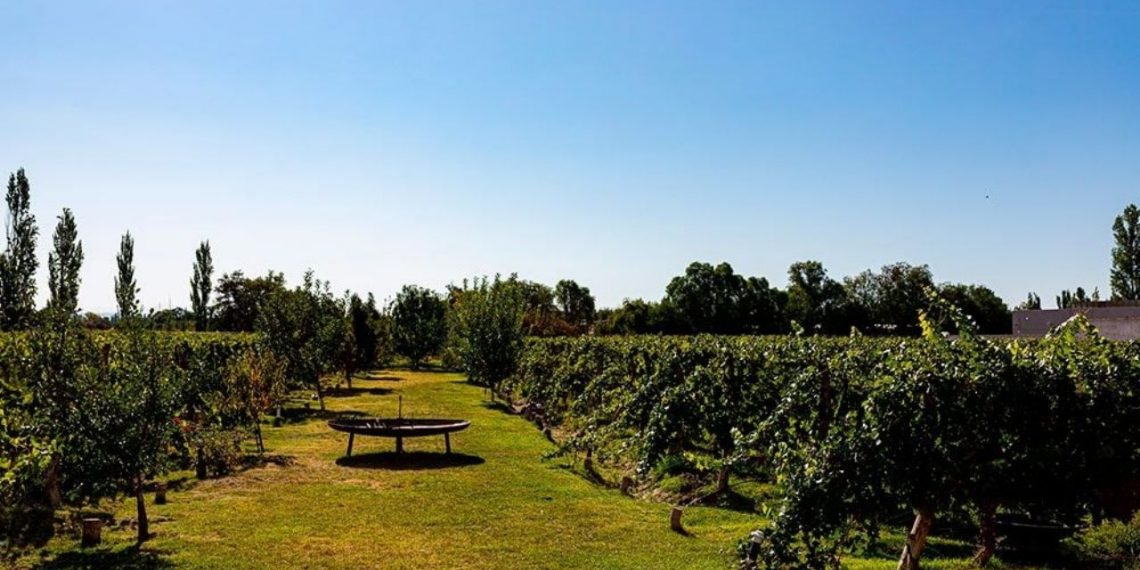 Mendoza, un destino vitivincola para descubrir caminando
