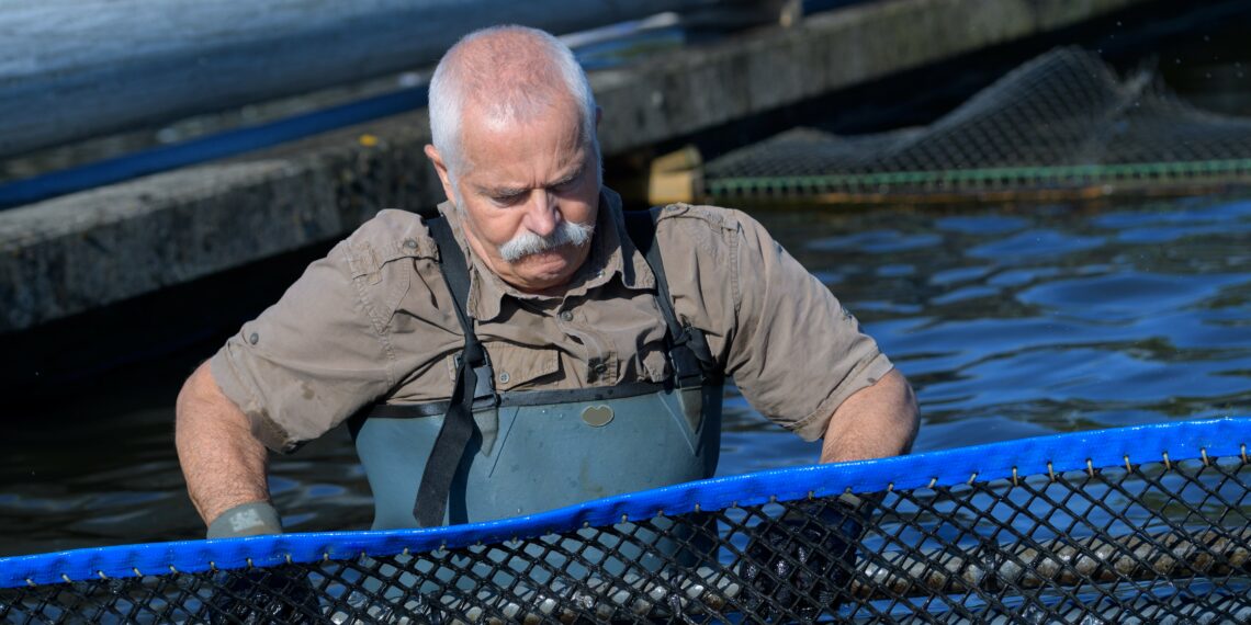 ODS14. Nomad Foods y BlueNalu se unen para introducir el marisco de cultivo celular en Europa