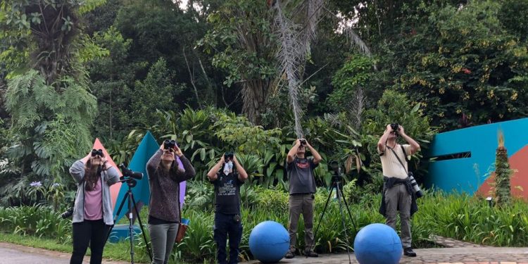 País retoma promoción del turismo de observación de aves