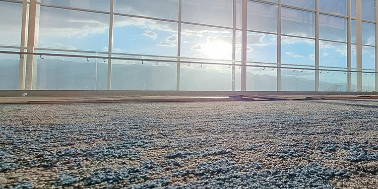 Palmerola hará crecer al sector aeroportuario – Diario La Tribuna