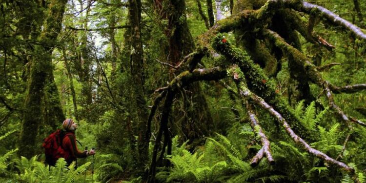 Panguipulli se suma a inédito proyecto que promueve el turismo sustentable en Chile