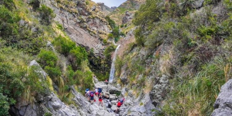 PreViaje: ¿cuáles son los requisitos y cómo anotarse? | InfoMerlo.com