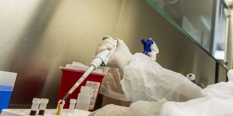 "Principal nexo de contagios Delta está dado por viajes interregionales"