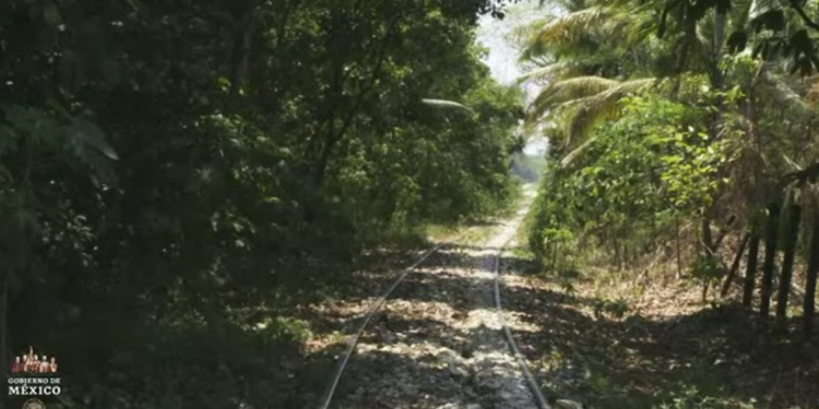 Proyecto de Tren Maya generará tres viajes mensuales de balastro en cabotaje de Veracruz a Yucatán - Diario de Xalapa
