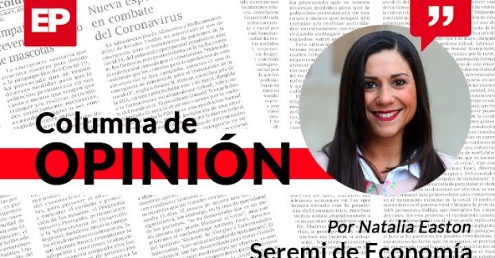 Se reactivan los cruceros con destino a la Antártica desde Magallanes