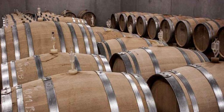 Un paseo por las viñas en un recorrido enoturista por España