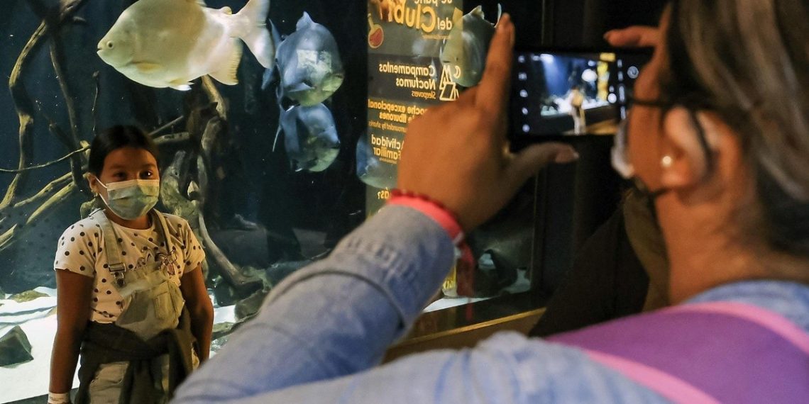 Viajes gratis a niños con calificaciones destacadas en Jalisco
