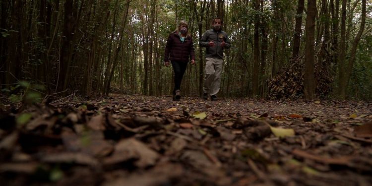 naturaleza, sabores y relax a 50 minutos del Obelisco