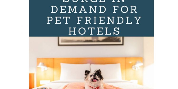 mascotas en hoteles