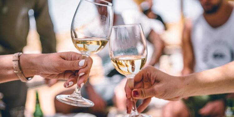 Como ser un experto en vinos