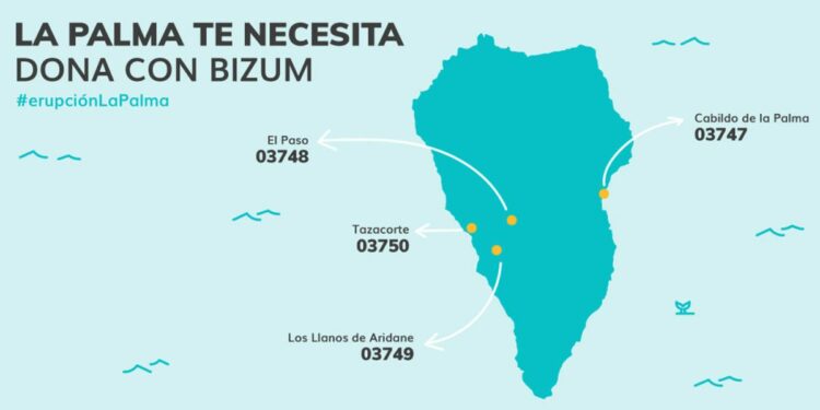 bizum