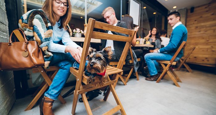 ¿Tienes mascota? El segmento retail ya piensa en ti