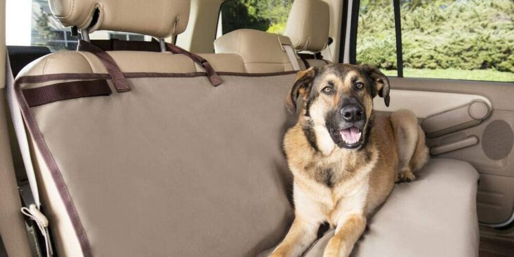 Cubre asientos PetSafe Happy Ride Bench Cover
