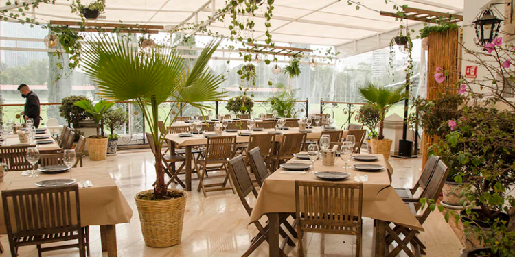 5 terrazas gastronómicas que debes visitar