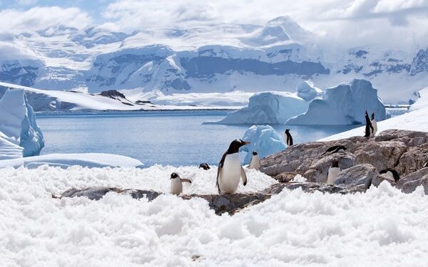 A fines de octubre zarpa crucero de Plantours que pasará por Chile