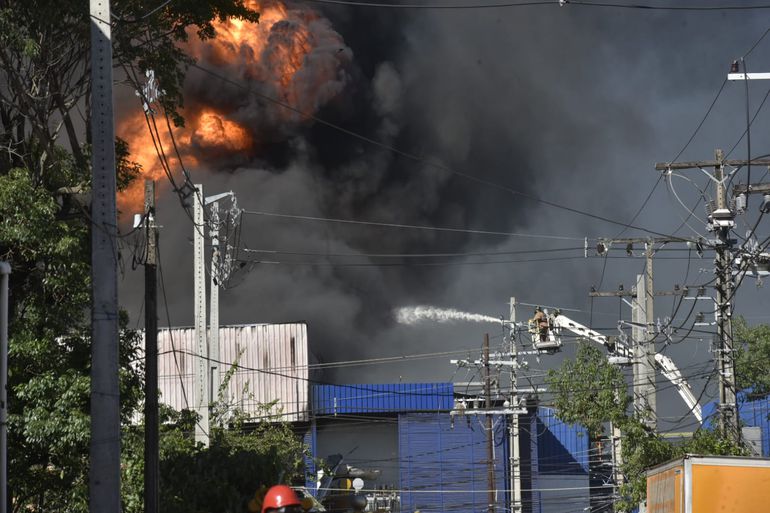 “Athena Foods es el grupo más importante en capacidad y tamaño” - Nacionales