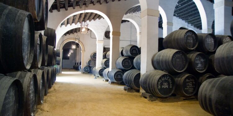 Bodegas Tío Pepe en Jerez, entre los mejores destinos enoturísticos del mundo