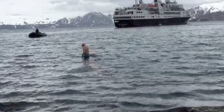 Clavado del oso polar en aguas heladas de la Antártida, por Ivonne Frid - Clavado del oso polar en aguas heladas de la Antártida. Foto de Ivonne Frid.