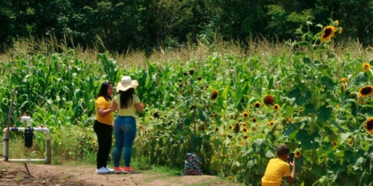 Copán ofrece recorridos, eventos culturales y rica gastronomía