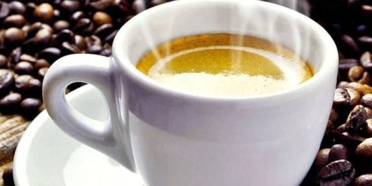 Desde Coatepec a Pluma Hidalgo: cuatro destinos para disfrutar de una exquisita taza de café