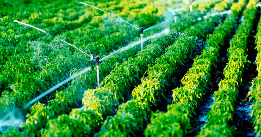 El grupo internacional de alimentación Associated British Foods adquiere la española DR Healthcare tras ya haber comprado Azucarera