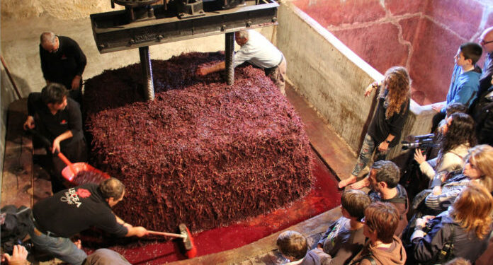 Enoturismo en Rioja