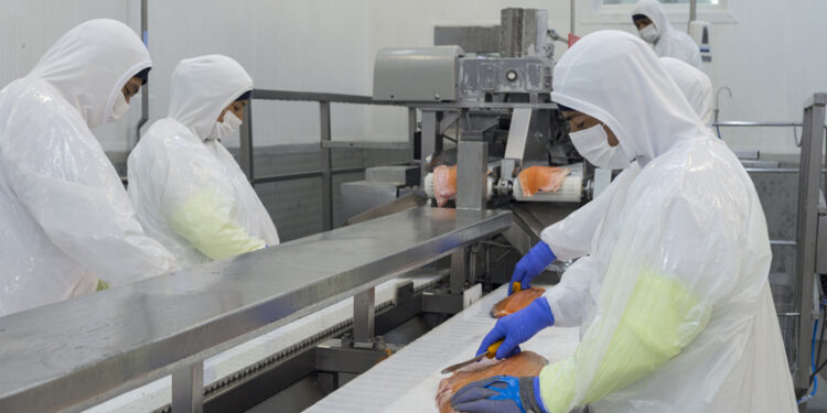 Exportaciones crecen un 33,5% el tercer trimestre del ao