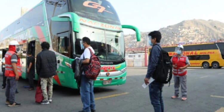 Feriado largo: protocolo sanitario para viajes en transporte interprovincial